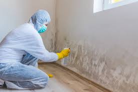 Trusted Enigma, GA Mold Inspection Experts