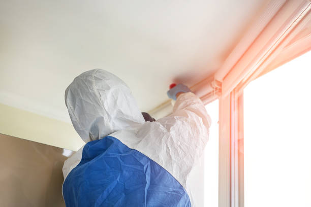 Mold Removal for HVAC Installations in Enigma, GA