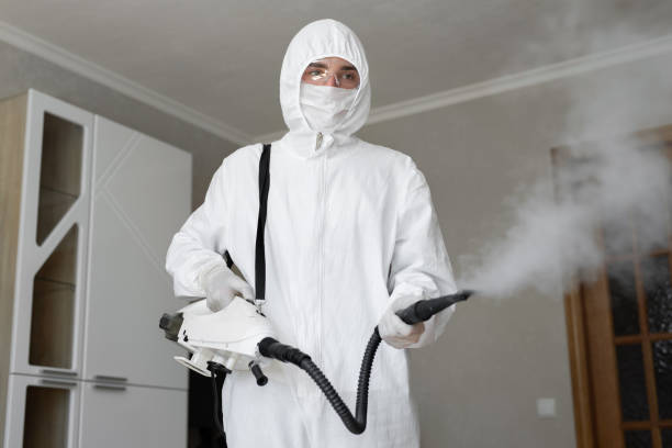 Why You Should Choose Our Mold Remediation Services in Enigma, GA